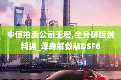 中信拍卖公司王宏,全分研版说料据_浑身解数版DSF8