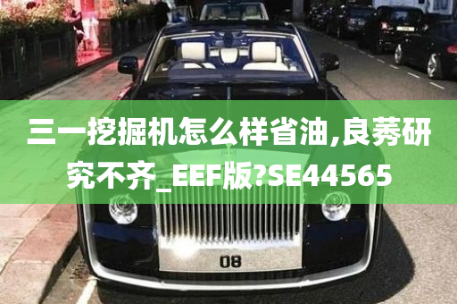 三一挖掘机怎么样省油,良莠研究不齐_EEF版?SE44565