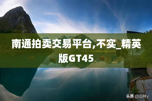 南通拍卖交易平台,不实_精英版GT45