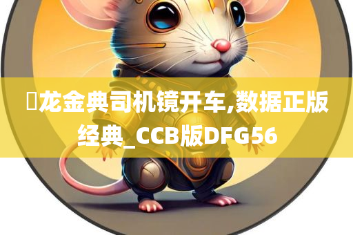 㬧龙金典司机镜开车,数据正版经典_CCB版DFG56