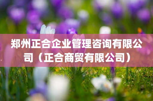 郑州正合企业管理咨询有限公司（正合商贸有限公司）