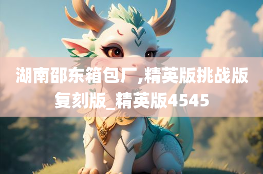 湖南邵东箱包厂,精英版挑战版复刻版_精英版4545