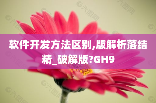 软件开发方法区别,版解析落结精_破解版?GH9