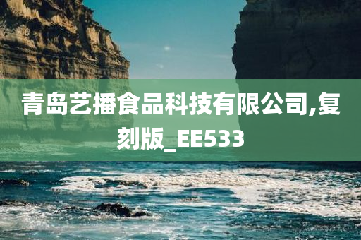 青岛艺播食品科技有限公司,复刻版_EE533