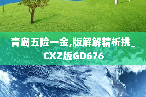 青岛五险一金,版解解精析挑_CXZ版GD676