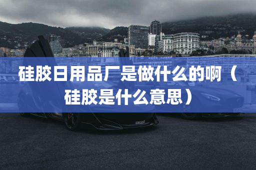 硅胶日用品厂是做什么的啊（硅胶是什么意思）