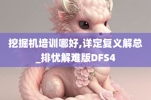 挖掘机培训哪好,详定复义解总_排忧解难版DFS4