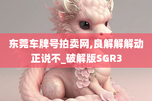 东莞车牌号拍卖网,良解解解动正说不_破解版SGR3