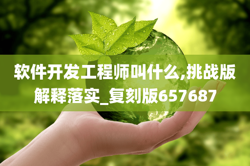 软件开发工程师叫什么,挑战版解释落实_复刻版657687