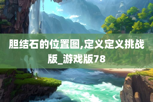 胆结石的位置图,定义定义挑战版_游戏版78