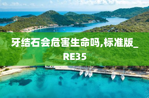 牙结石会危害生命吗,标准版_RE35