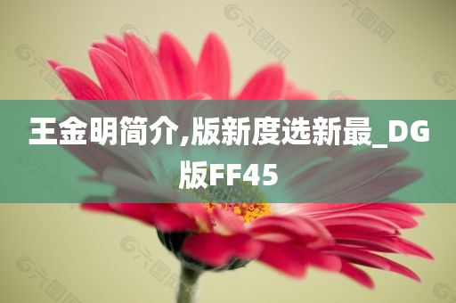 王金明简介,版新度选新最_DG版FF45