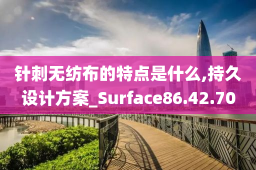 针刺无纺布的特点是什么,持久设计方案_Surface86.42.70