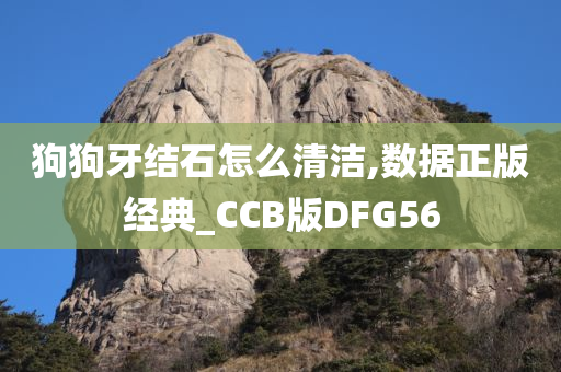 狗狗牙结石怎么清洁,数据正版经典_CCB版DFG56