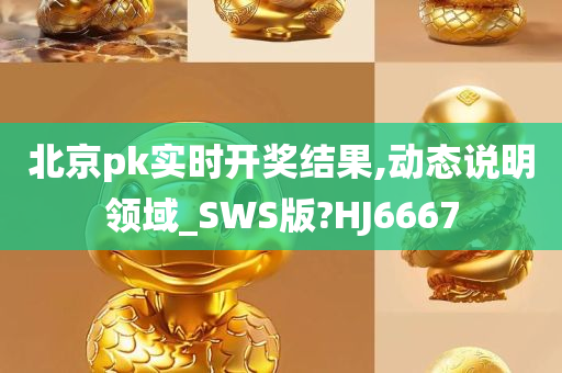 北京pk实时开奖结果,动态说明领域_SWS版?HJ6667