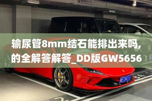 输尿管8mm结石能排出来吗,的全解答解答_DD版GW5656