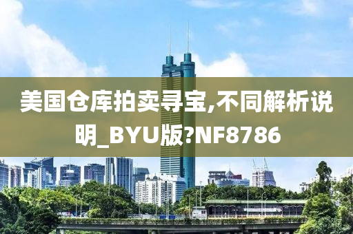 美国仓库拍卖寻宝,不同解析说明_BYU版?NF8786