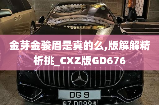 金芽金骏眉是真的么,版解解精析挑_CXZ版GD676