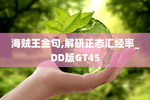 海贼王金句,解研正态汇经率_DD版GT45