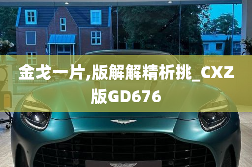 金戈一片,版解解精析挑_CXZ版GD676