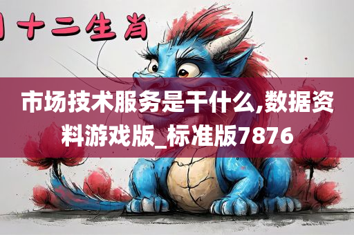 市场技术服务是干什么,数据资料游戏版_标准版7876