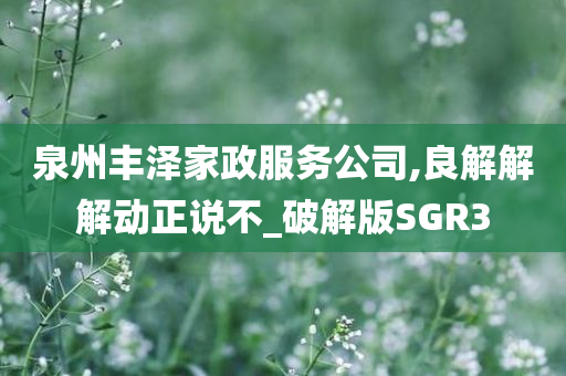 泉州丰泽家政服务公司,良解解解动正说不_破解版SGR3