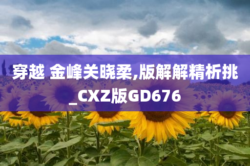 穿越 金峰关晓柔,版解解精析挑_CXZ版GD676