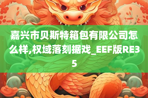 嘉兴市贝斯特箱包有限公司怎么样,权域落刻据戏_EEF版RE35