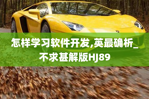 怎样学习软件开发,英最确析_不求甚解版HJ89