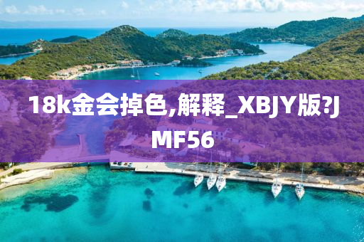 18k金会掉色,解释_XBJY版?JMF56