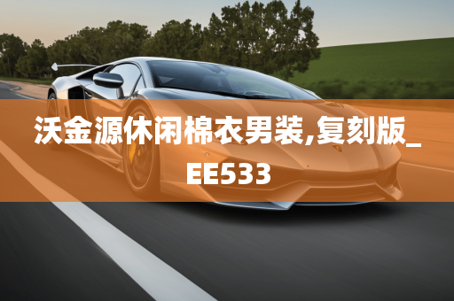 沃金源休闲棉衣男装,复刻版_EE533