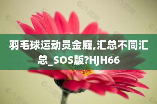 羽毛球运动员金庭,汇总不同汇总_SOS版?HJH66