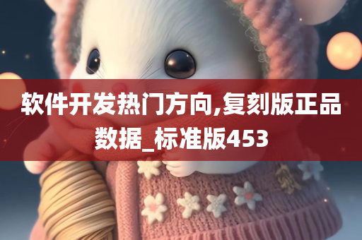 软件开发热门方向,复刻版正品数据_标准版453