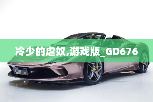 冷少的虐奴,游戏版_GD676