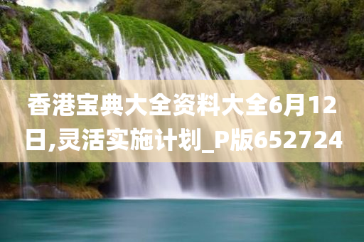 香港宝典大全资料大全6月12日,灵活实施计划_P版652724