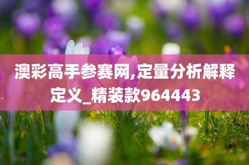 澳彩高手参赛网,定量分析解释定义_精装款964443