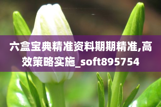 六盒宝典精准资料期期精准,高效策略实施_soft895754