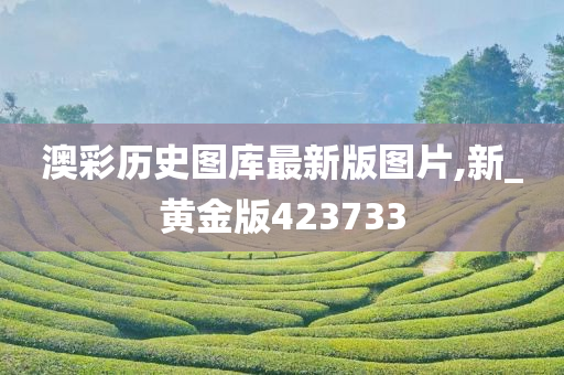 澳彩历史图库最新版图片,新_黄金版423733