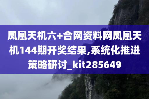 凤凰天机六+合网资料网凤凰天机144期开奖结果,系统化推进策略研讨_kit285649