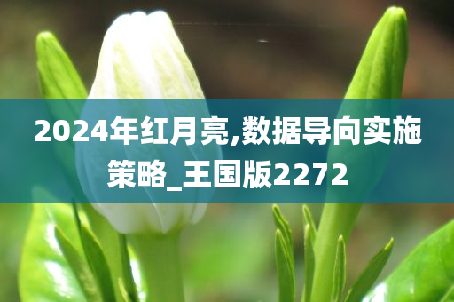 2024年红月亮,数据导向实施策略_王国版2272