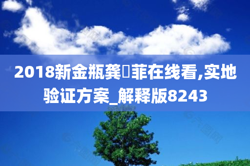 2018新金瓶龚玥菲在线看,实地验证方案_解释版8243