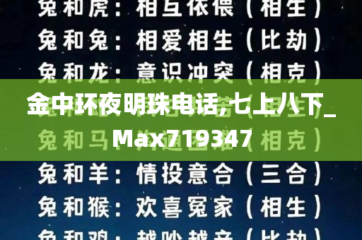 金中环夜明珠电话,七上八下_Max719347