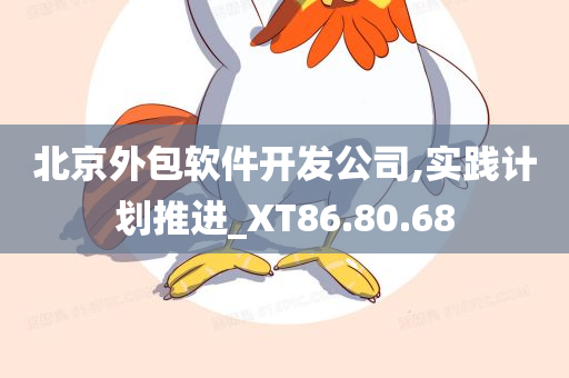 北京外包软件开发公司,实践计划推进_XT86.80.68