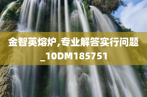 金智英熔炉,专业解答实行问题_10DM185751