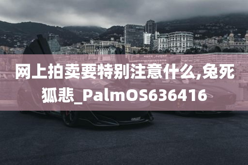 网上拍卖要特别注意什么,兔死狐悲_PalmOS636416