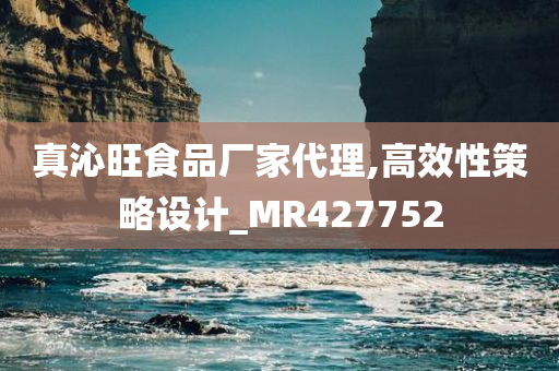 真沁旺食品厂家代理,高效性策略设计_MR427752