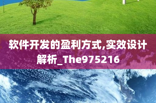 软件开发的盈利方式,实效设计解析_The975216