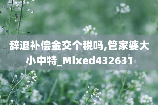 辞退补偿金交个税吗,管家婆大小中特_Mixed432631