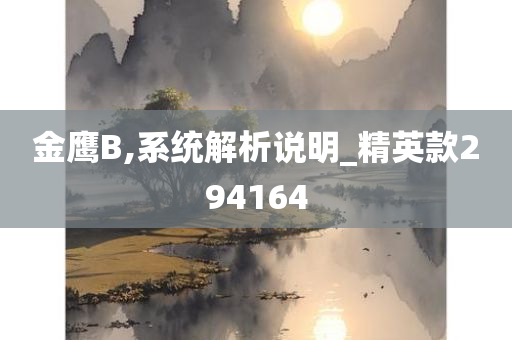 金鹰B,系统解析说明_精英款294164