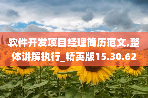 软件开发项目经理简历范文,整体讲解执行_精英版15.30.62